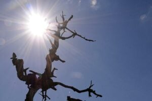 Goiânia quebra recorde calor do ano e marca 38,5ºC nesta terça (7)