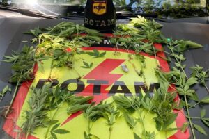 PM prende 150 suspeitos e recaptura 24 foragidos durante o final de semana, em Goiás