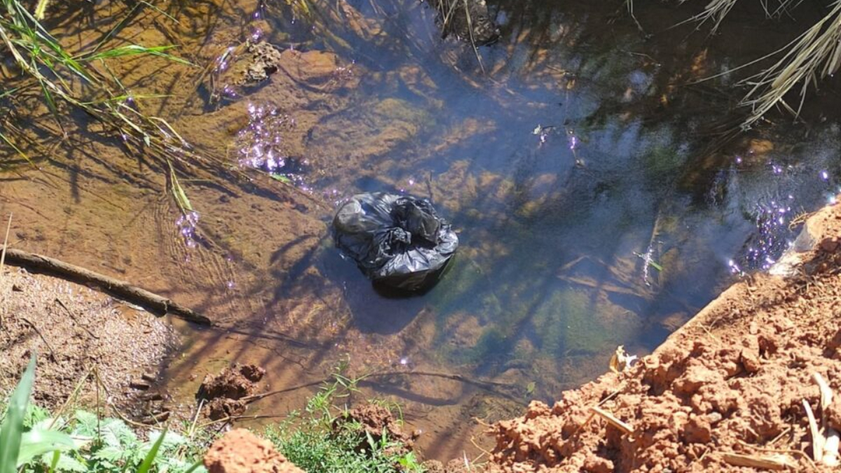 Jovem confessa que arremessou cabeça do avô por janela de carro fingindo ser gato morto