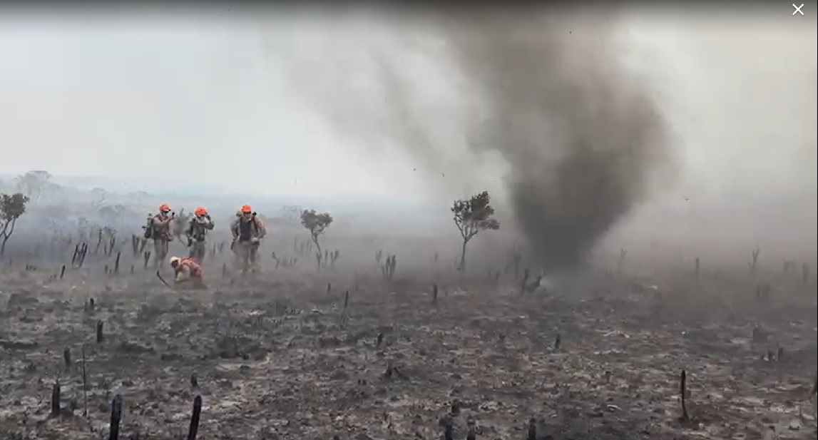 Redemoinhos dificultam combate ao incêndio na Chapada dos Veadeiros (Foto: Divulgação - CBMGO)
