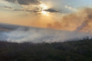 Bombeiros combatem incêndio no Parque Estadual Altamiro de Moura Pacheco