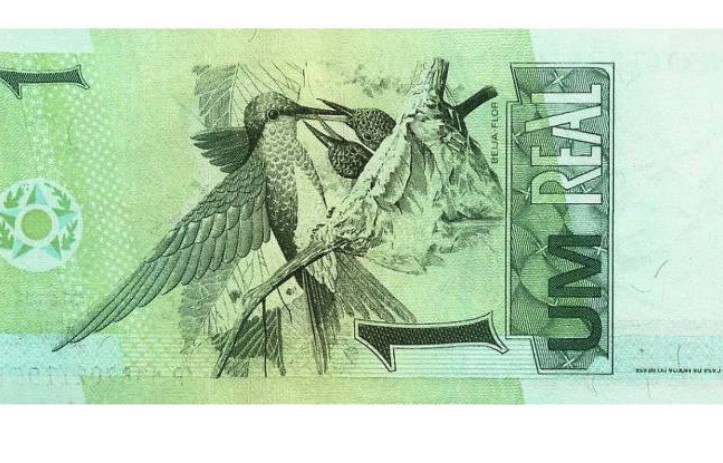 Cédula de um real, já fora de circulação, traz o beija-flor de peito azul (Foto: Banco Central)