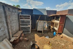 Homem é preso por maus-tratos a animais silvestres e exóticos em Goiânia