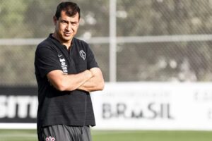 Fábio Carille irá assumir a equipe do Santos