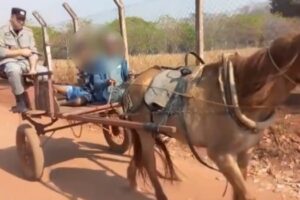 Um homem foi preso e levado em carroça até a viatura da PM em Goiânia. O suspeito de receptação e tentou fugir à pé por 4 km