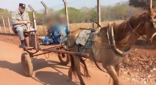 Um homem foi preso e levado em carroça até a viatura da PM em Goiânia. O suspeito de receptação e tentou fugir à pé por 4 km