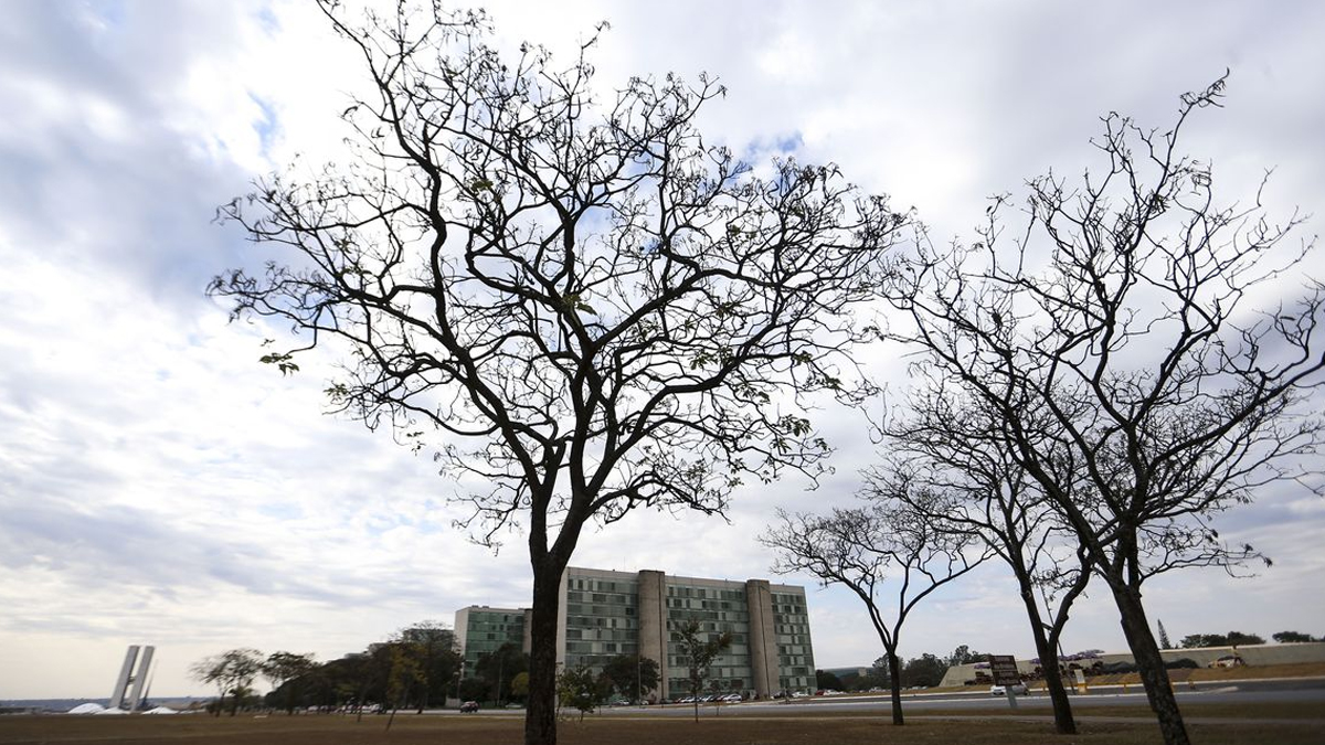 Feriado deve ter tempo firme na maior parte do país, diz Climatempo