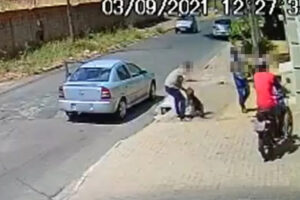 Dono é suspeito de espancar cachorro em calçada de Aparecida de Goiânia