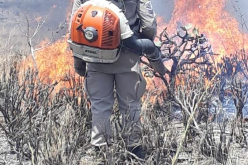 Bombeiro que atua em incêndio na Chapada tem olho perfurado por graveto
