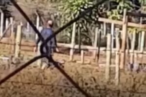 Romu prende homem suspeito de assustar estudantes com uma arma perto de escola, em Goiânia