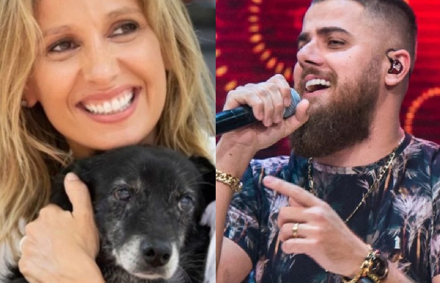 "Vocês acham que Deus gosta disso?", indagou a ativista nas redes sociais. Luisa Mell critica cantor Zé Neto por promessa envolvendo animal