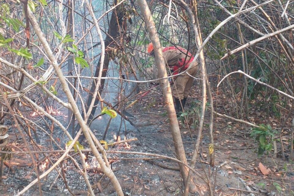 Incêndio na Chapada dos Veadeiros mobiliza mais de 150 profissionais