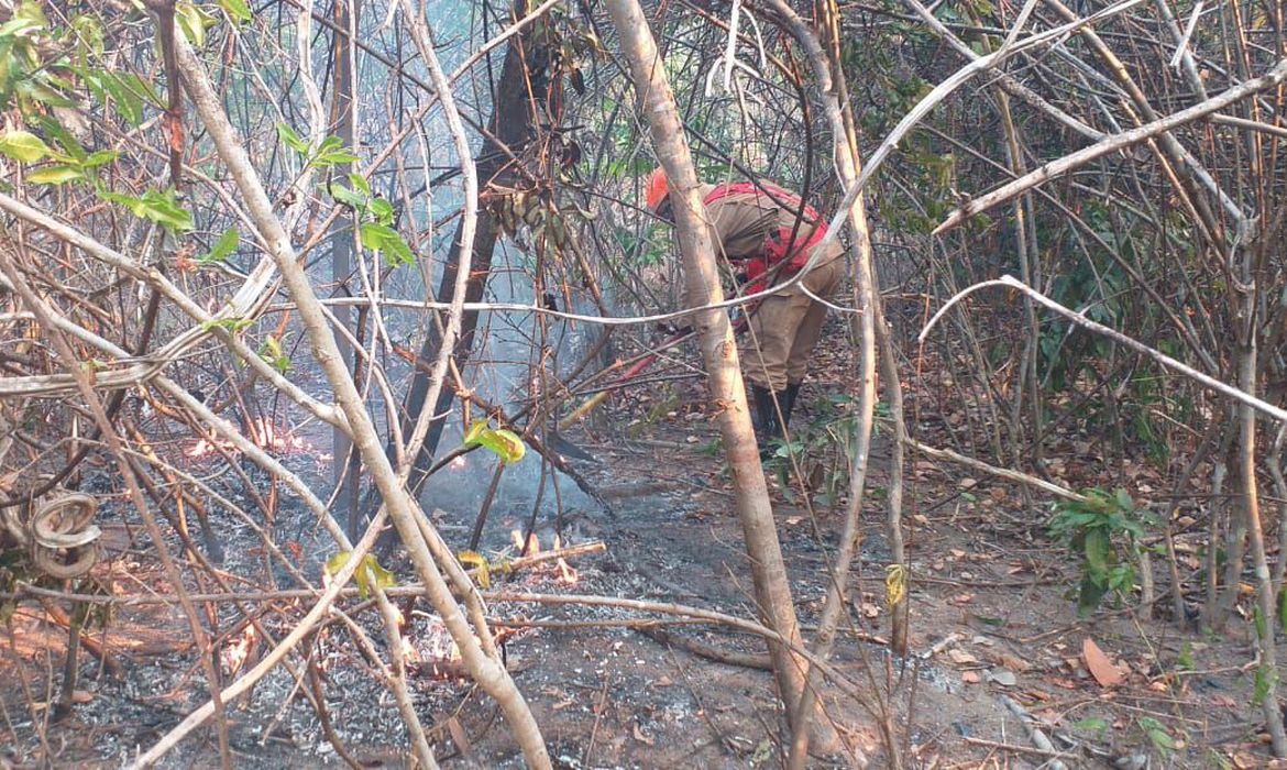 Incêndio na Chapada dos Veadeiros mobiliza mais de 150 profissionais