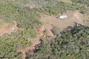 23 pessoas são atacadas por abelhas em Hidrolândia