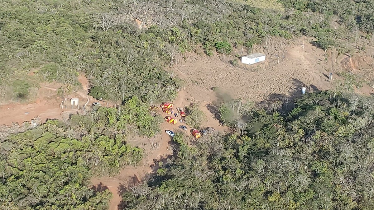 23 pessoas são atacadas por abelhas em Hidrolândia