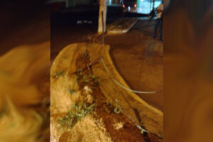 Homem furta ônibus em Aparecida, bate em mureta de rodovia e é preso