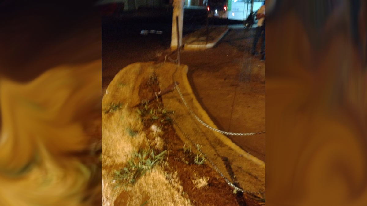 Homem furta ônibus em Aparecida, bate em mureta de rodovia e é preso