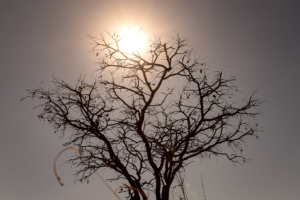 Cidade de Goiás e Aragarças registram maior temperatura do país nesta quarta-feira