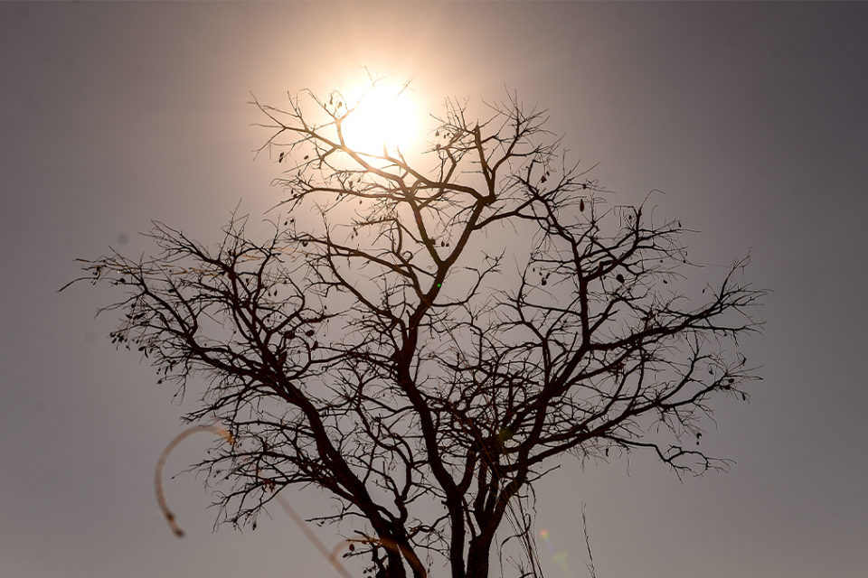 Cidade de Goiás e Aragarças registram maior temperatura do país nesta quarta-feira