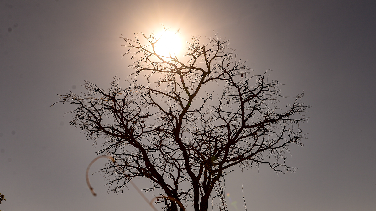 Cidade de Goiás e Aragarças registram maior temperatura do país nesta quarta-feira