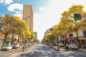 Primavera chega com promessa de chuva nesta quarta (22)