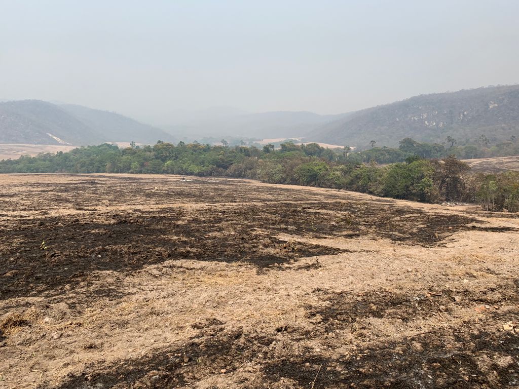 Área atingida por incêndio na Chapada dos Veadeiros aumentou de 23 para 36 mil hectares em dois dias