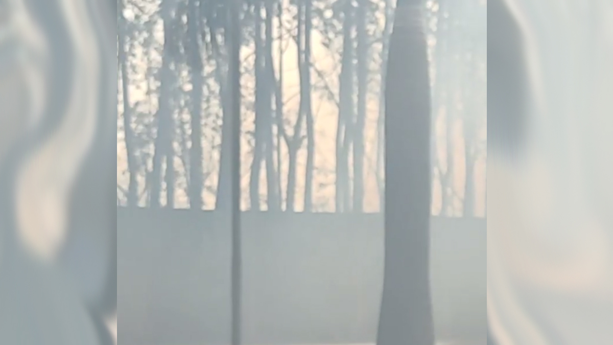 Bombeiros combatem incêndio próximo ao pátio da JBS, em Goiânia