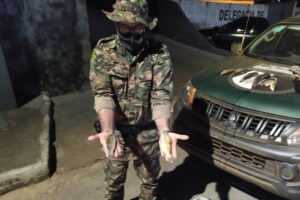 Polícia apreende 16 quilos de peixes em bloqueio na região da Serra da Mesa