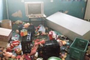 Funcionária denuncia segunda invasão de vândalos em Cmei: "deixam até fezes"