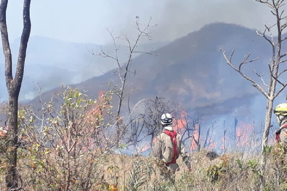 Combatentes tentam debelar chamas na Chapada dos Veadeiros (Foto: Divulgação - CBMGO)