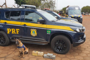PRF encontra 11,4 kg de pasta base de cocaína em veículo em Planaltina, DF