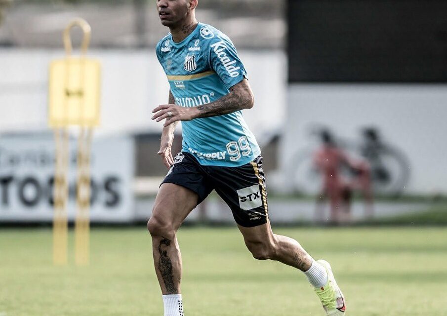 Foto: Reprodução/Twitter Santos