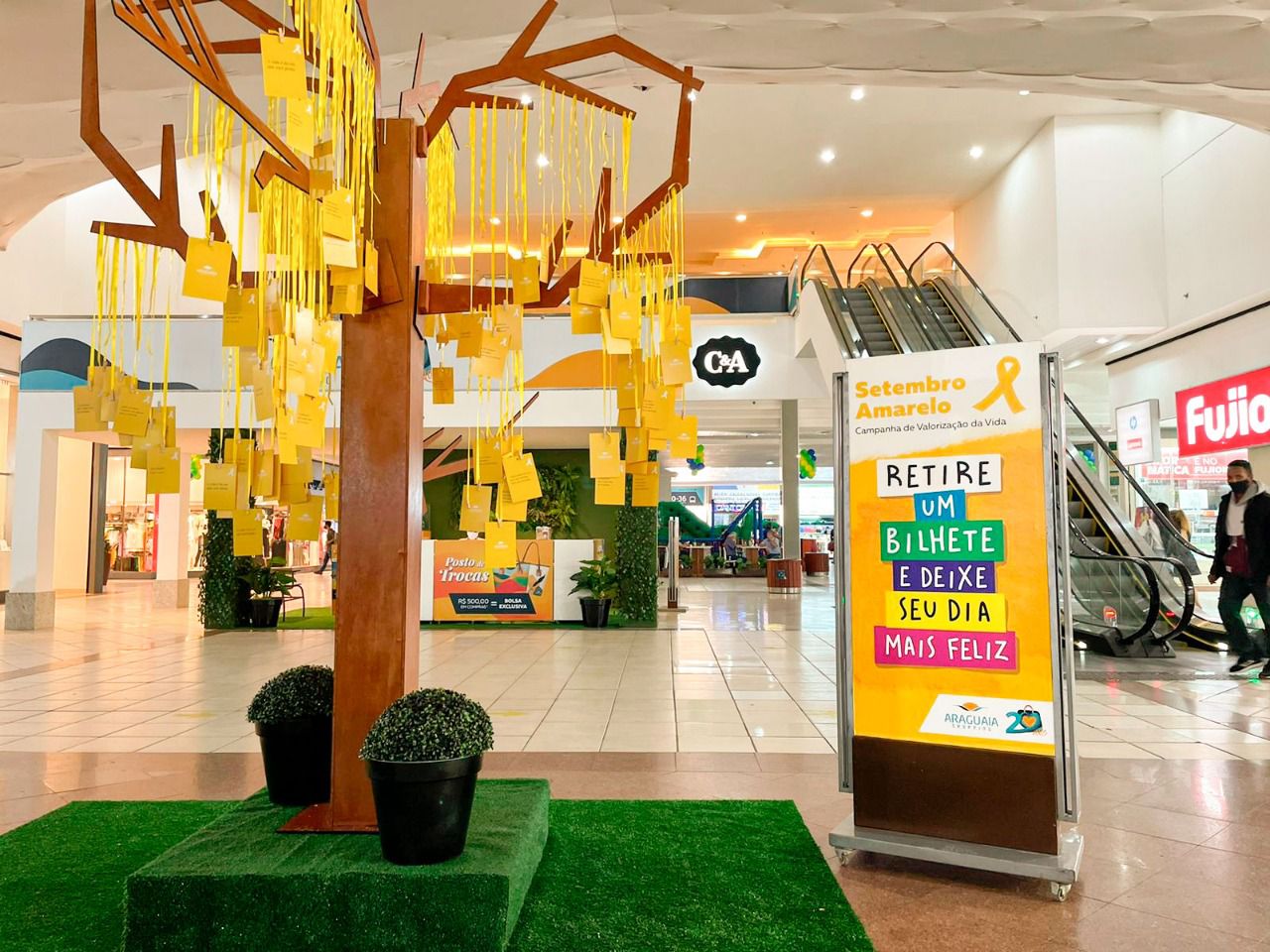 Árvore da Vida: ação em shopping de Goiânia reforça campanha do Setembro Amarelo