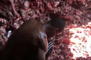 Sem comida, moradores do Rio recorrem a restos de ossos e carne rejeitados por supermercados (Foto: Reprodução - Jornal Extra)