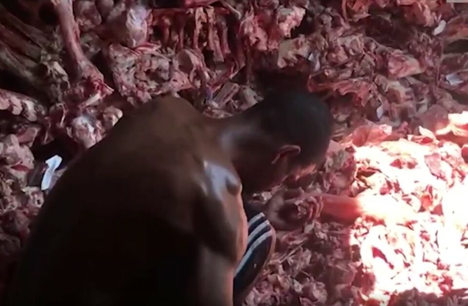 Sem comida, moradores do Rio recorrem a restos de ossos e carne rejeitados por supermercados (Foto: Reprodução - Jornal Extra)