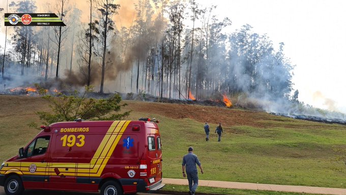 Fogo consome mata após queda de aeronave - Avião com quatro pessoas caiu em região de mata de Piracicaba (SP). Aeronave pegou fogo. Bombeiros estão no local para resgate