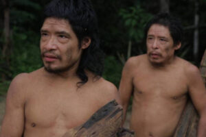 Funai prorroga por 6 meses proteção legal da terra dos piripkura, índigenas isolados em MT