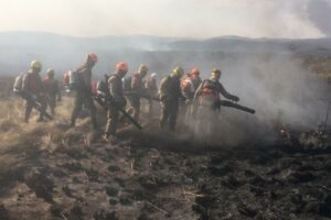 A região da Chapada dos Veadeiros registrou dois novos focos de incêndio criminoso, na manhã deste domingo (19). Chamas já foram controladas. (Foto: Corpo de Bombeiros)