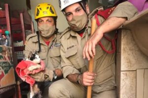 Bombeiros resgatam gato paraplégico preso em cano de esgoto, em Goiânia