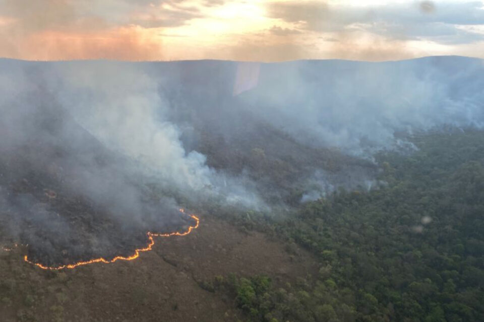 Incêndio na Chapada dos Veadeiros já destruiu já destruiu 10 mil campos de futebol