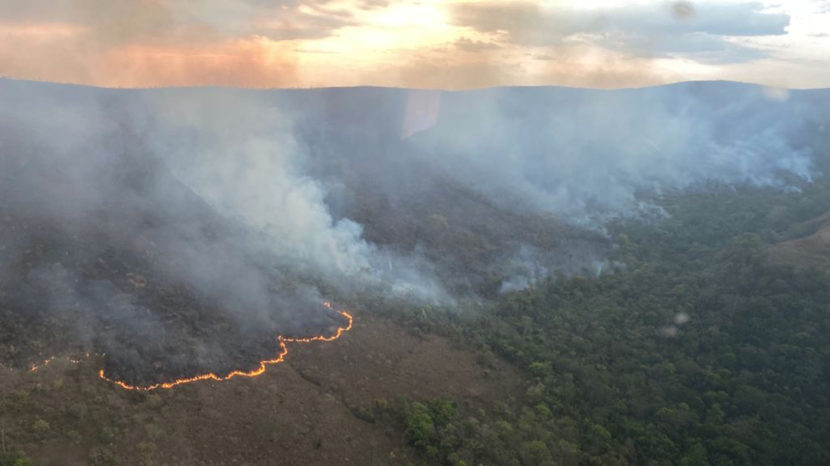Incêndio na Chapada dos Veadeiros já destruiu já destruiu 10 mil campos de futebol