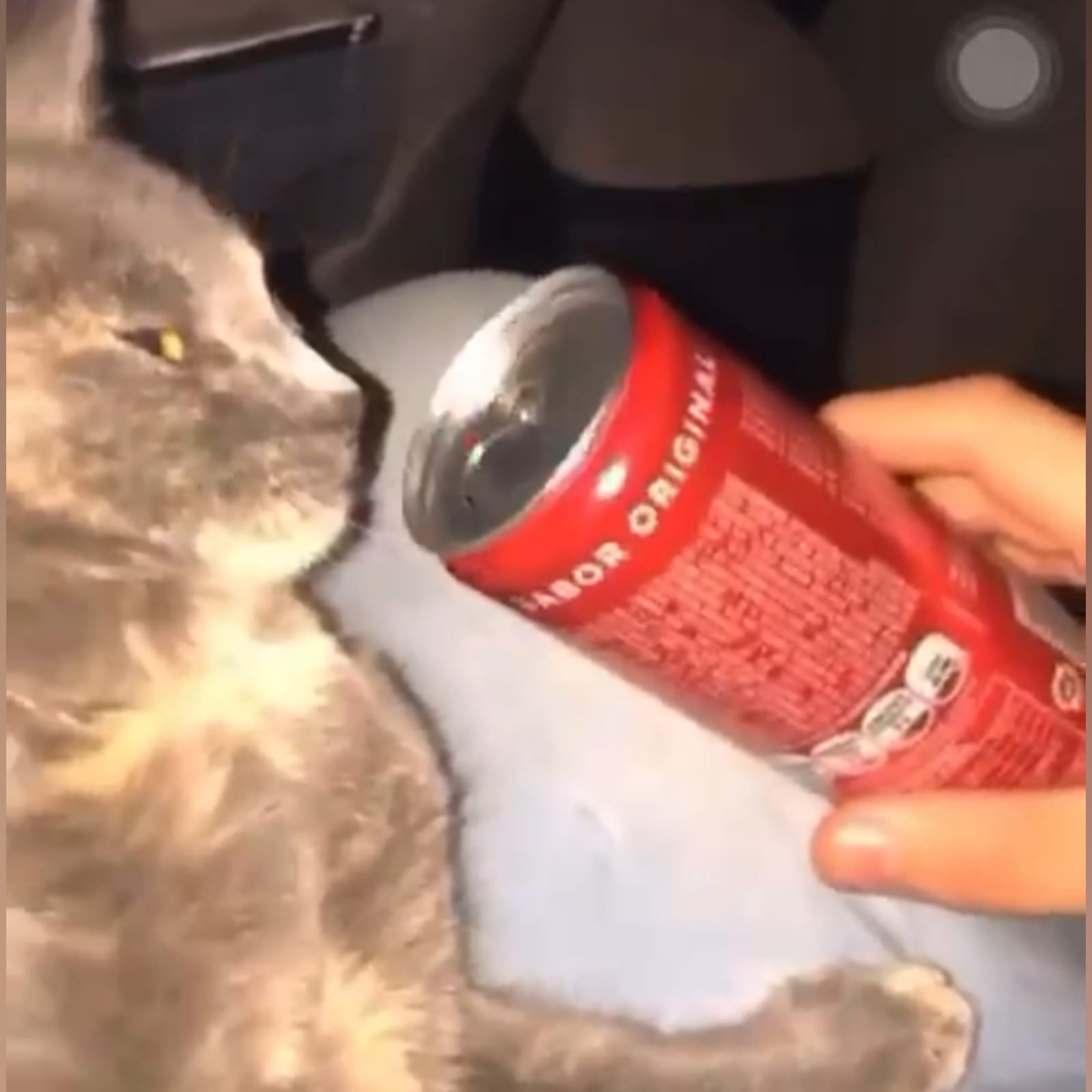 cheirar entorpecente