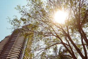 Centro-Oeste e sudeste devem permanecer na seca em outubro, diz ONS