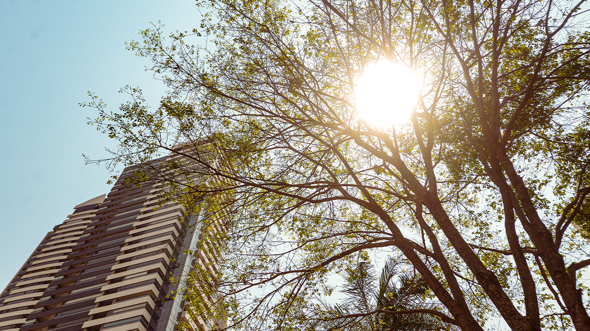 Centro-Oeste e sudeste devem permanecer na seca em outubro, diz ONS