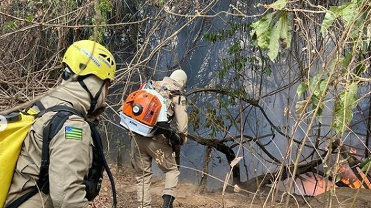 Bombeiros extinguem fogo às margens da Serra de Jaraguá