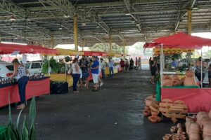 Festival Mundo Verde é uma feira de plantas que ocorre todos os meses no Cepal do Setor Sul (Foto: Divulgação)