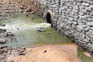 Encanamento despejando esgoto em córrego de Aparecida de Goiânia