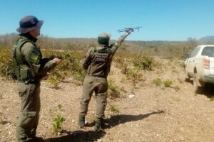 Operação da Semad aplica R$ 2 mi em multas na região da Chapada dos Veadeiros