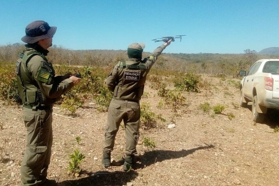 Operação da Semad aplica R$ 2 mi em multas na região da Chapada dos Veadeiros
