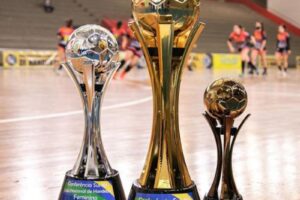 Troféus da Liga Nacional de Handebol